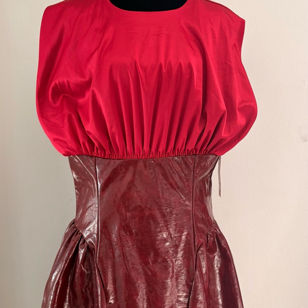Red Satin Top & Burgundy Leather Skirt Mini Dress